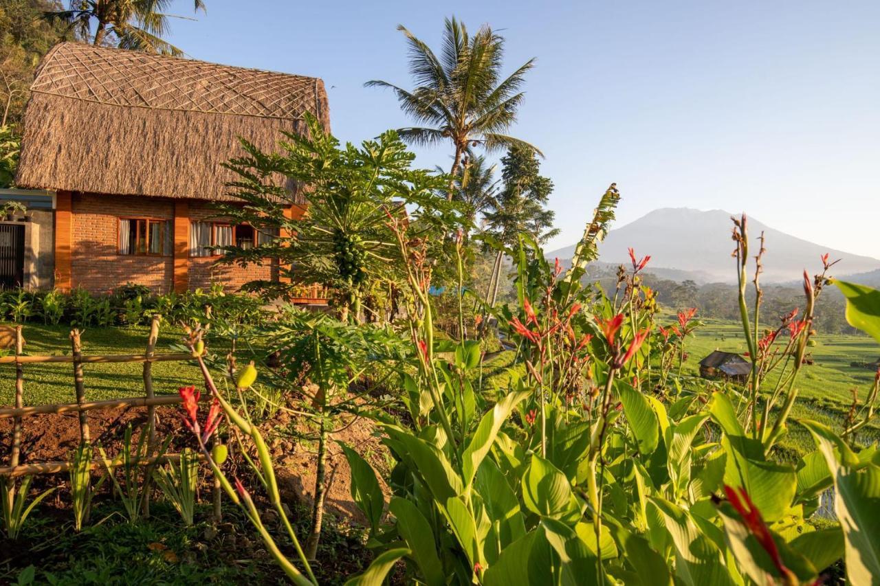 Romantic Barn With Mt. Agung Views Sidemen  Εξωτερικό φωτογραφία